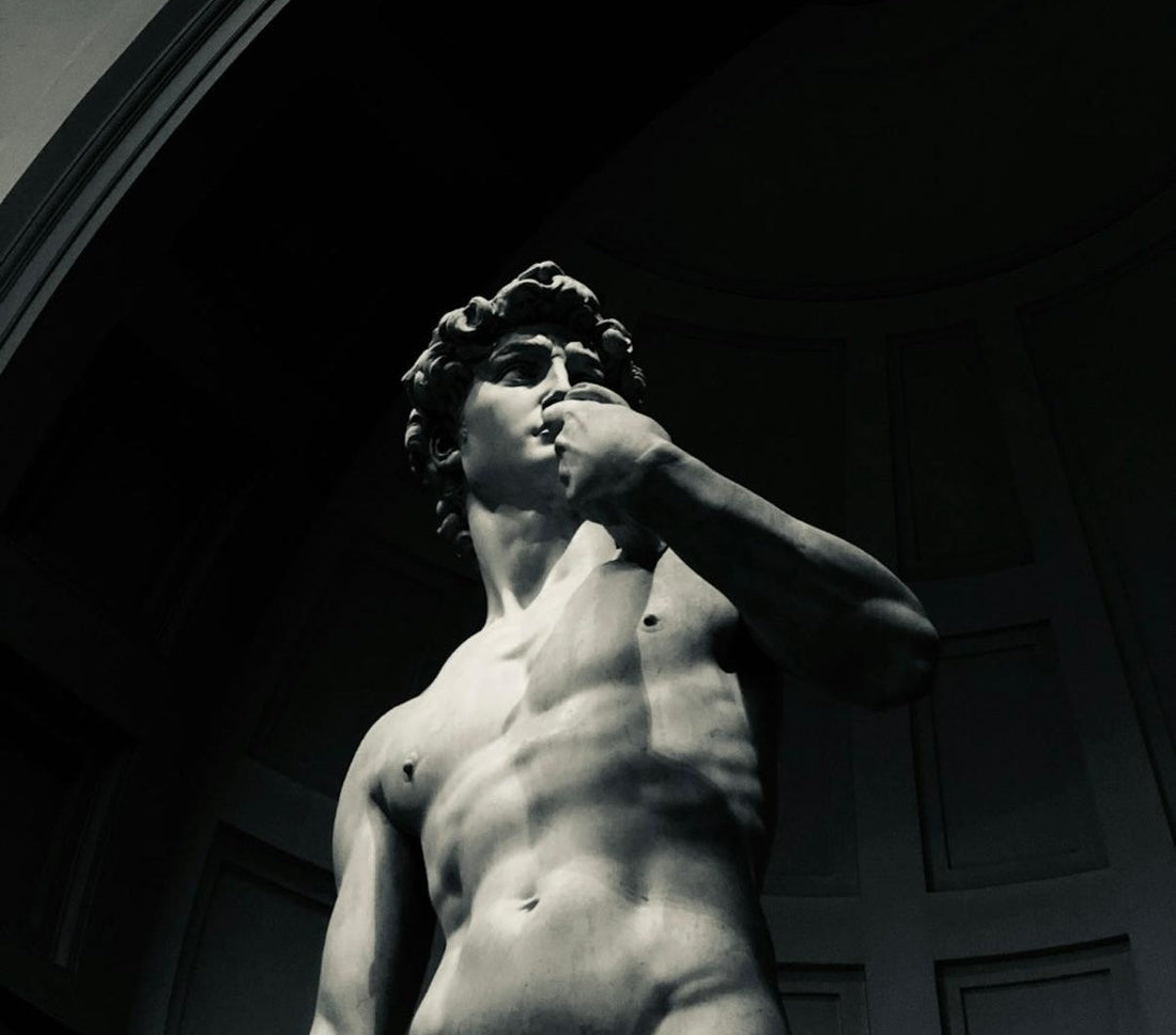 Cholesterol: vriend of vijand?