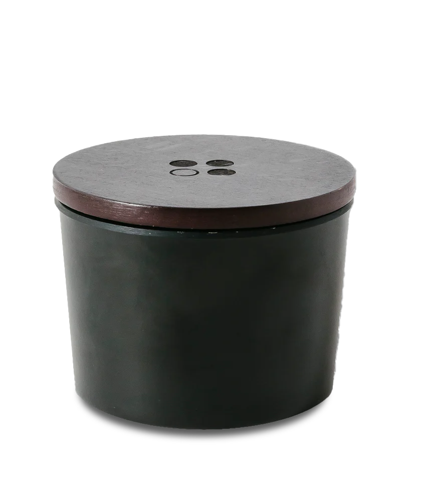 RainPharma INSIDE OUT